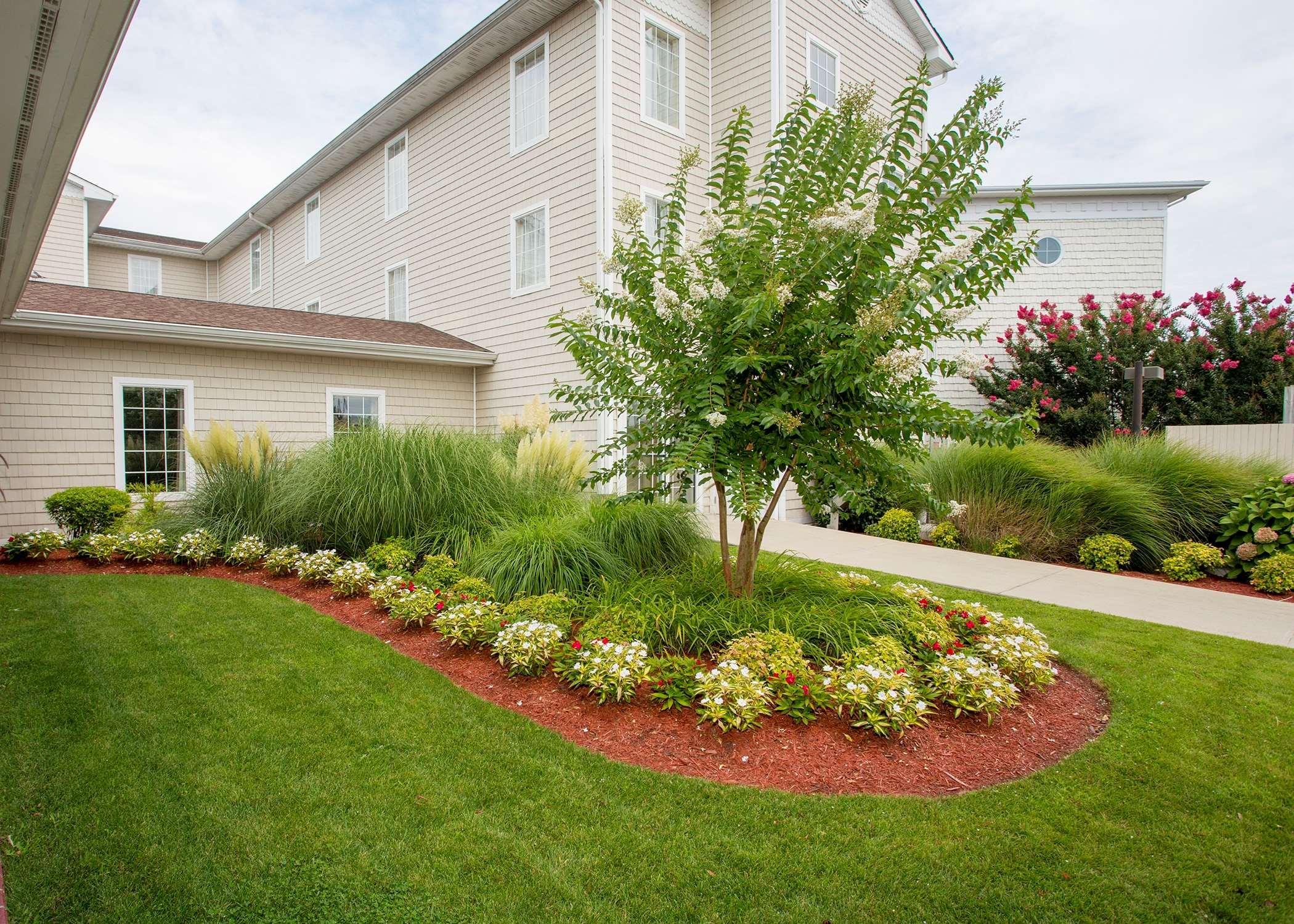 Hampton Inn & Suites Chincoteague-Waterfront, Va Exteriör bild